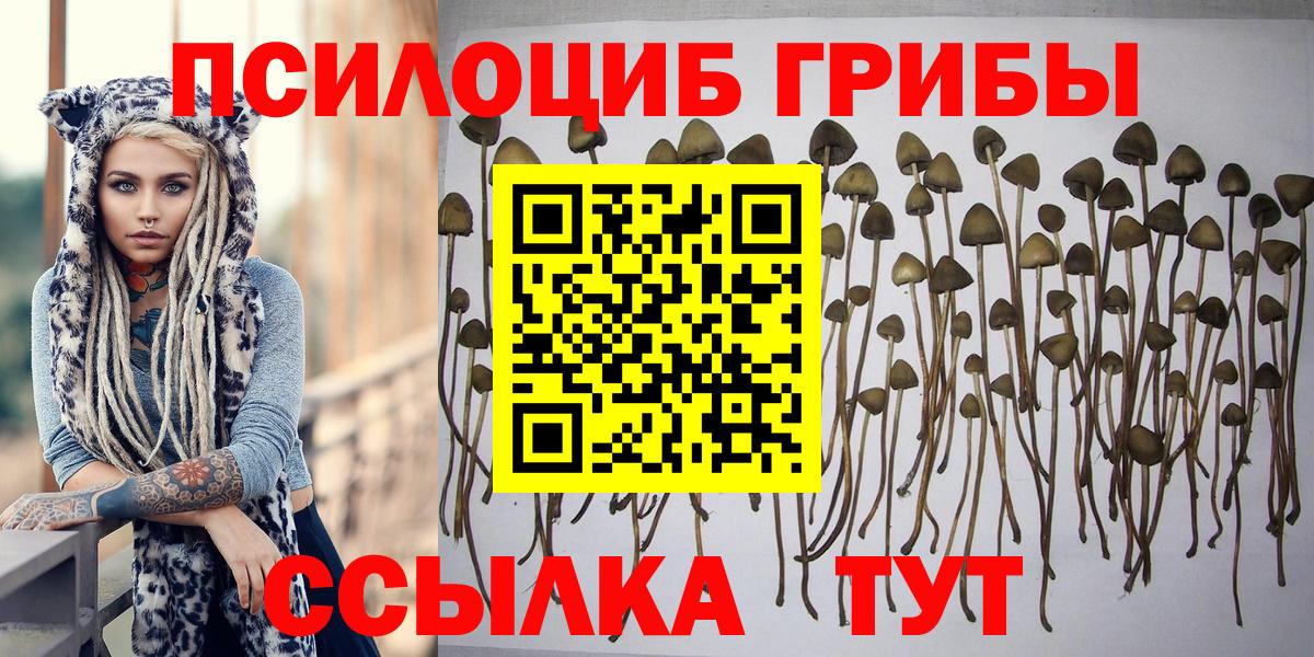 Псилоцибиновые грибы прущие грибы  Галлюциногенные грибы GOLDEN TEACHER  Вход с VPN  купить наркотик  Пыть-Ях 